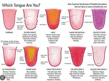 UM Artigo Sobre a Tabela de Cores Gua Sha